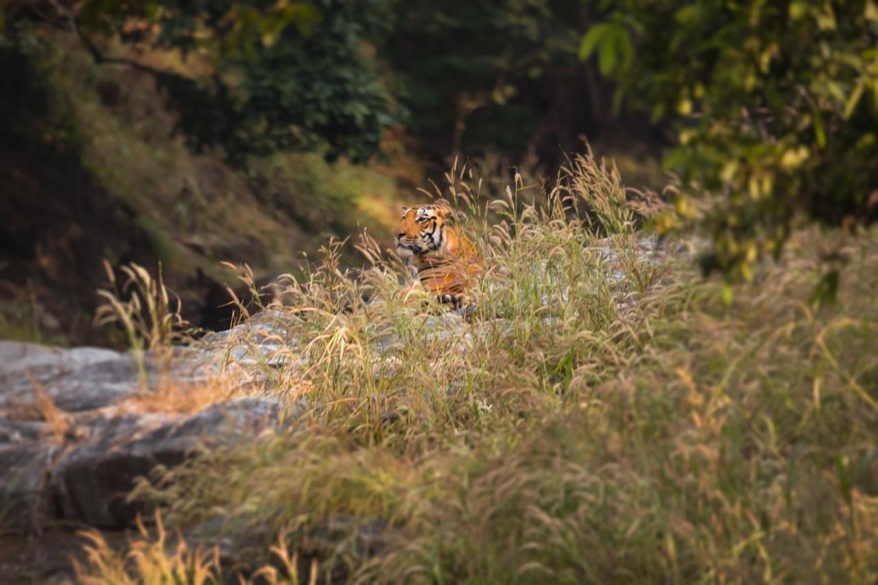 Pench Jungle Camp Hotel Khawasa Bagian luar foto